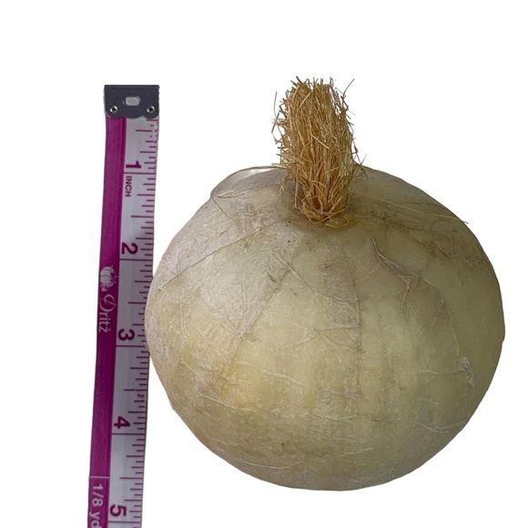 Life Size Vegetables Realistic Avocado Onion Pomegranate Veggies Farmhouse Decor - Picture 9 of 10